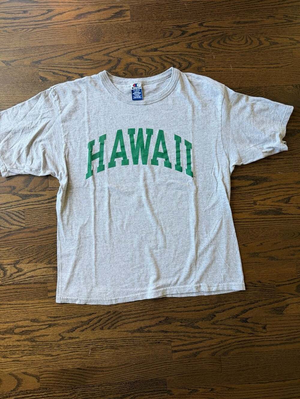 Vintage Champion Hawaii T-Shirt X-Large Grey Green Arch Logo